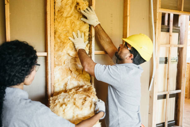 Best Garage Insulation Installation  in Oak Forest, IL